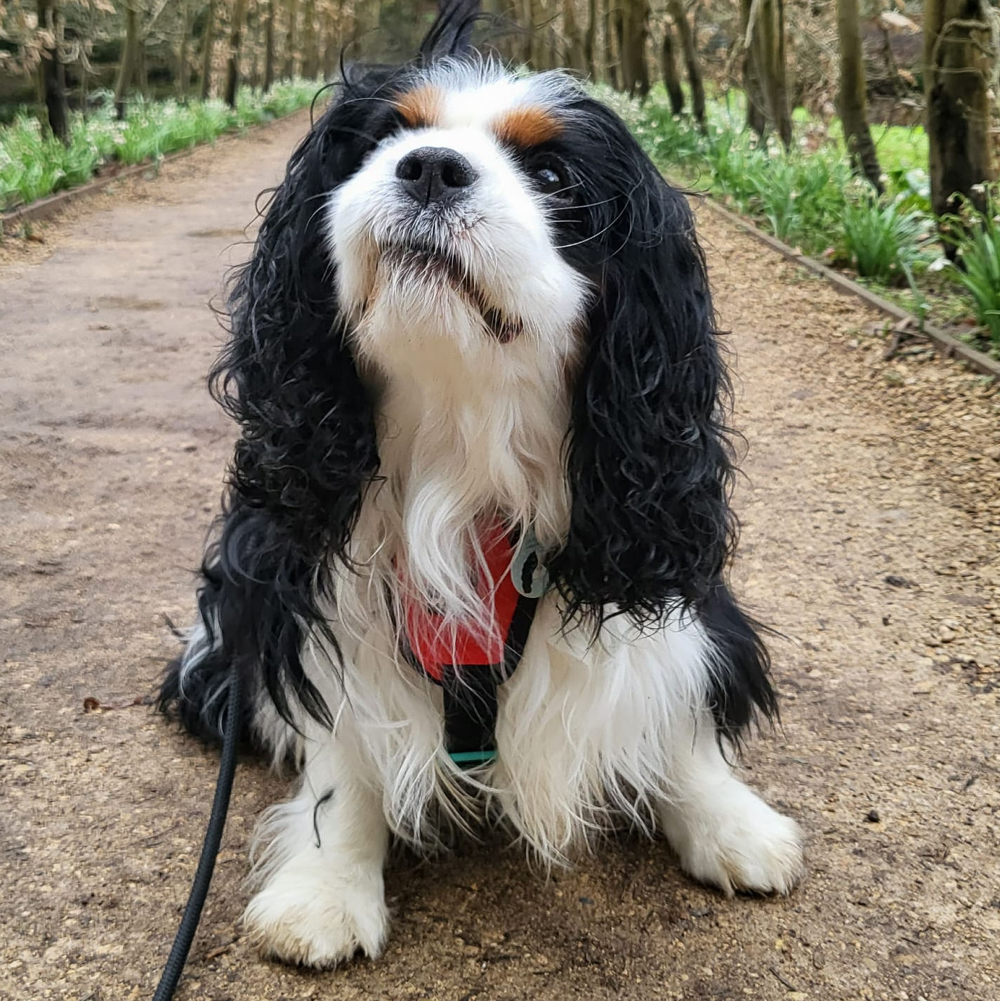 2024_2025 - Murphy - 14.jpg